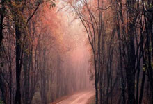 九游会网址 -包含里昂内部会议纪要流出：转会期豪取连胜，英超使命明确，训练强度明显提升的词条